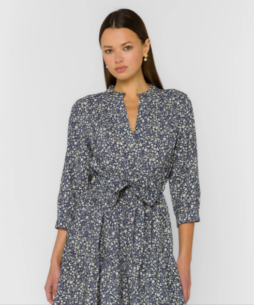 Noelle’s Long Sleeve V~neck dress Midnight Flower